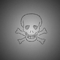 Skull and Cross Bones