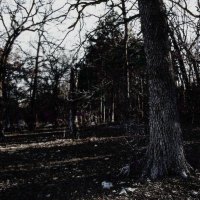 Dark in the Daylight