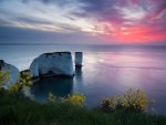 Dorset Chalk Cliffs Sunset