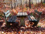 Autumn Bench