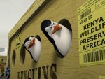 Madagascar - Penguins