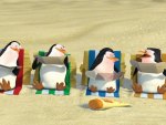 Madagascar - Penguins