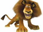 Madagascar - Lion Alex