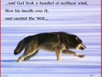 wolf wisdom