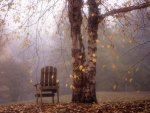 Autumn Leaves Falling over Chair