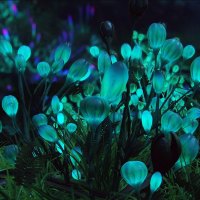 beautiful fantasy art