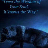 Trust The Wisdom Of Your Soul