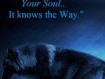 Trust The Wisdom Of Your Soul