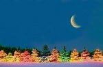Christmas Trees in the Moonlight