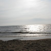 Mist Covering Mountains