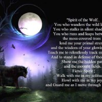 Wolf Prayer