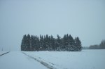 Winter wonderland in Alberta 09