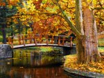 Autumn bridge