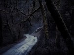 Dark road