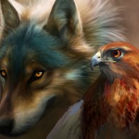 Wolf and eagle