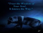 Trust The Wisdom Of Your Soul