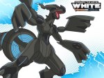 Pokemon the Movie White: Zekrom
