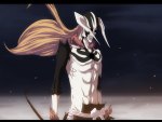 Vasto Lorde Ichigo