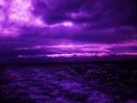 Purple Seas