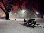Winter night (Central park)
