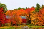 Fall barn