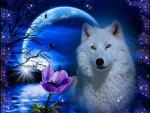 White Wolf Fantasy