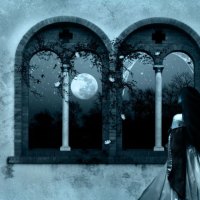 Awaiting in the Moonlight