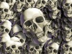 Skulls