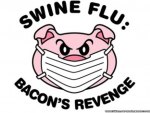 Swine Flu