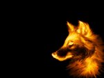 Golden Wolf