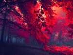 Dark red forest