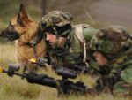 Military shepherd
