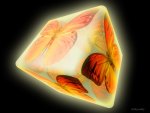 â™¥     â€¢Æ¸Ì´ÓÌ´Æ·â€¢Butterfly Cubeâ€¢Æ¸Ì´ÓÌ´Æ·â€¢     â™¥
