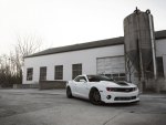 White camaro ss
