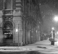 black_and_white_monty_korner_snow