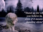 Stand Up