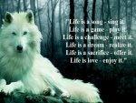 Life Is A Song