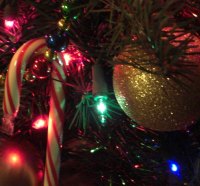 Christmas tree ornaments