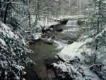 Small river in winter