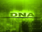 D N A
