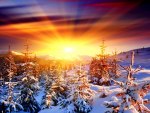 WINTER SUNRISE