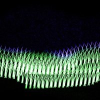 Colourful grass that I made in photoshop