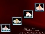 Marilyn Monroe Wall Photos