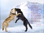 A Wolves Love