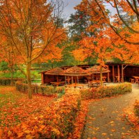 Autumn park