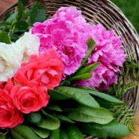 à¹‘~â™¥à¹‘ Visual Delight à¹‘â™¥~à¹‘