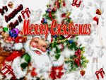 Merry Christmas !