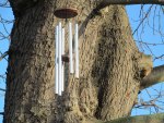 Tree Chimes