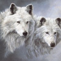 Snow Wolfs