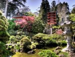 Japanese Tea Garden HDR